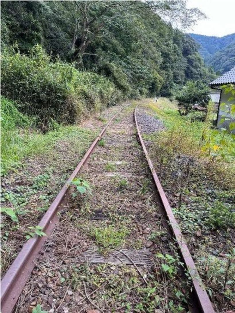 草に覆われた旧三江線の線路と森に囲まれた軌道跡