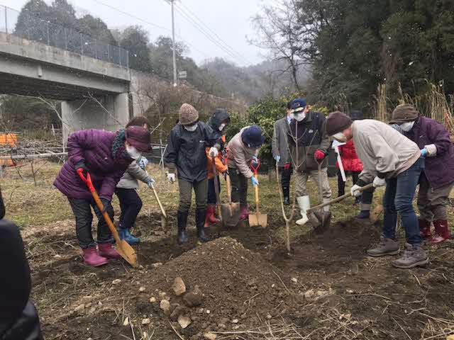 植樹作業